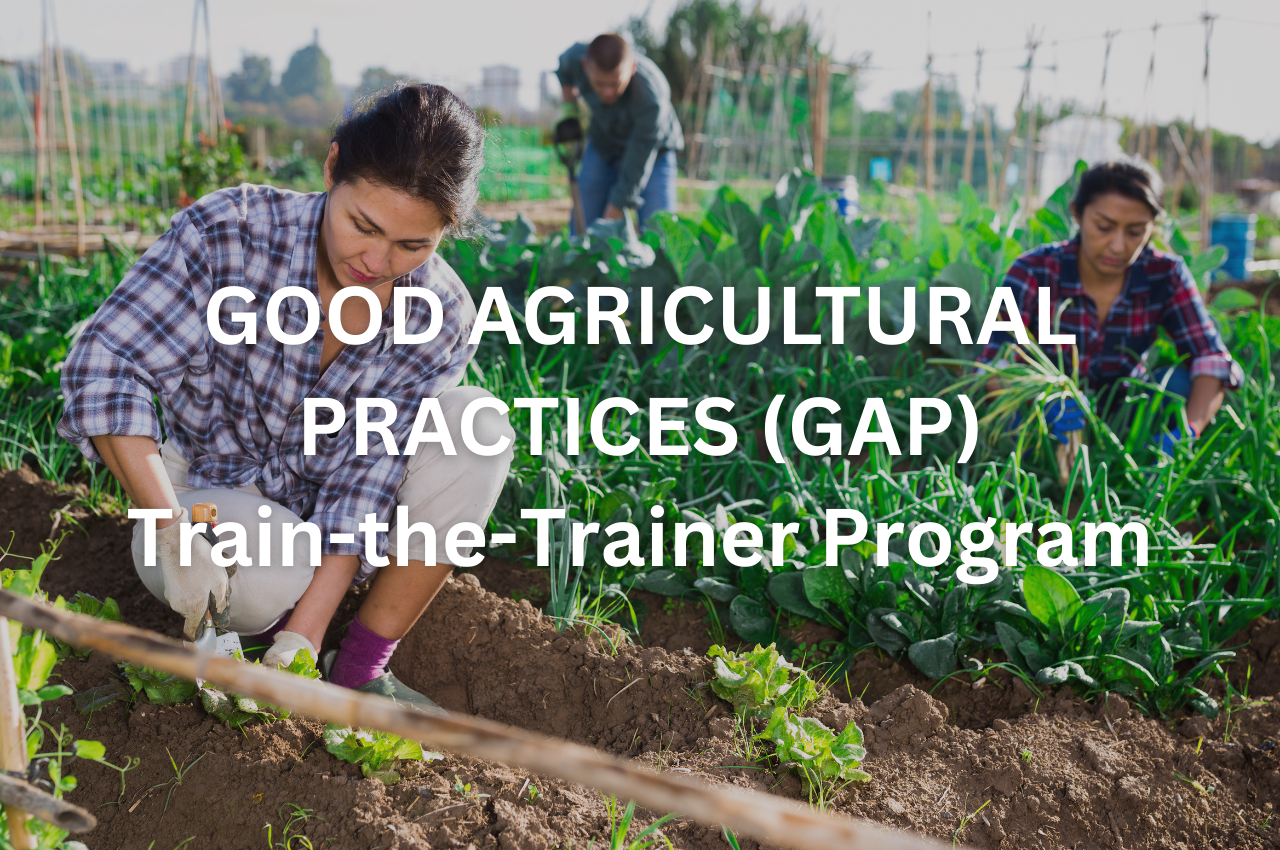 Training Institute, SCCCD – Building a better future, one student at a ...